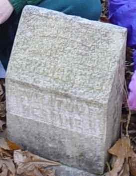 Laodicea "Dicey" Langston Springfield's Gravestone